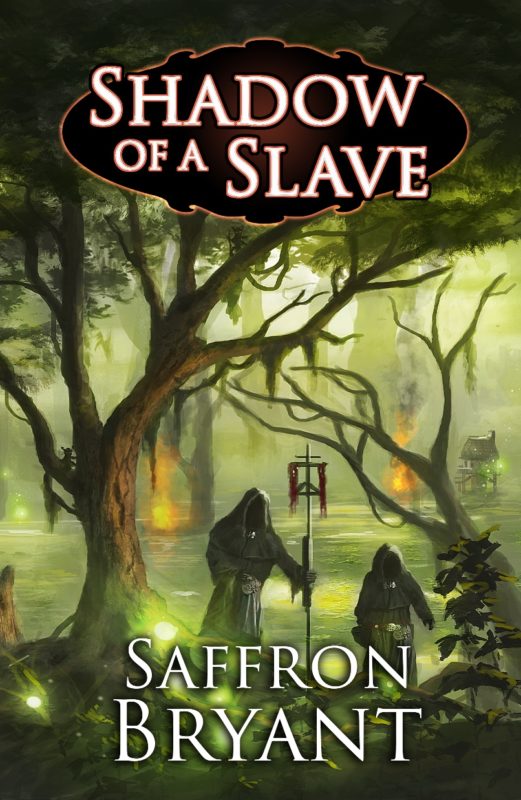 Shadow of a Slave