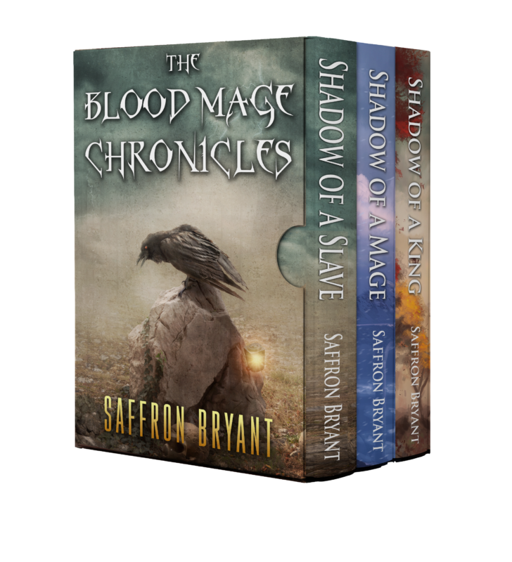 The Blood Mage Chronicles