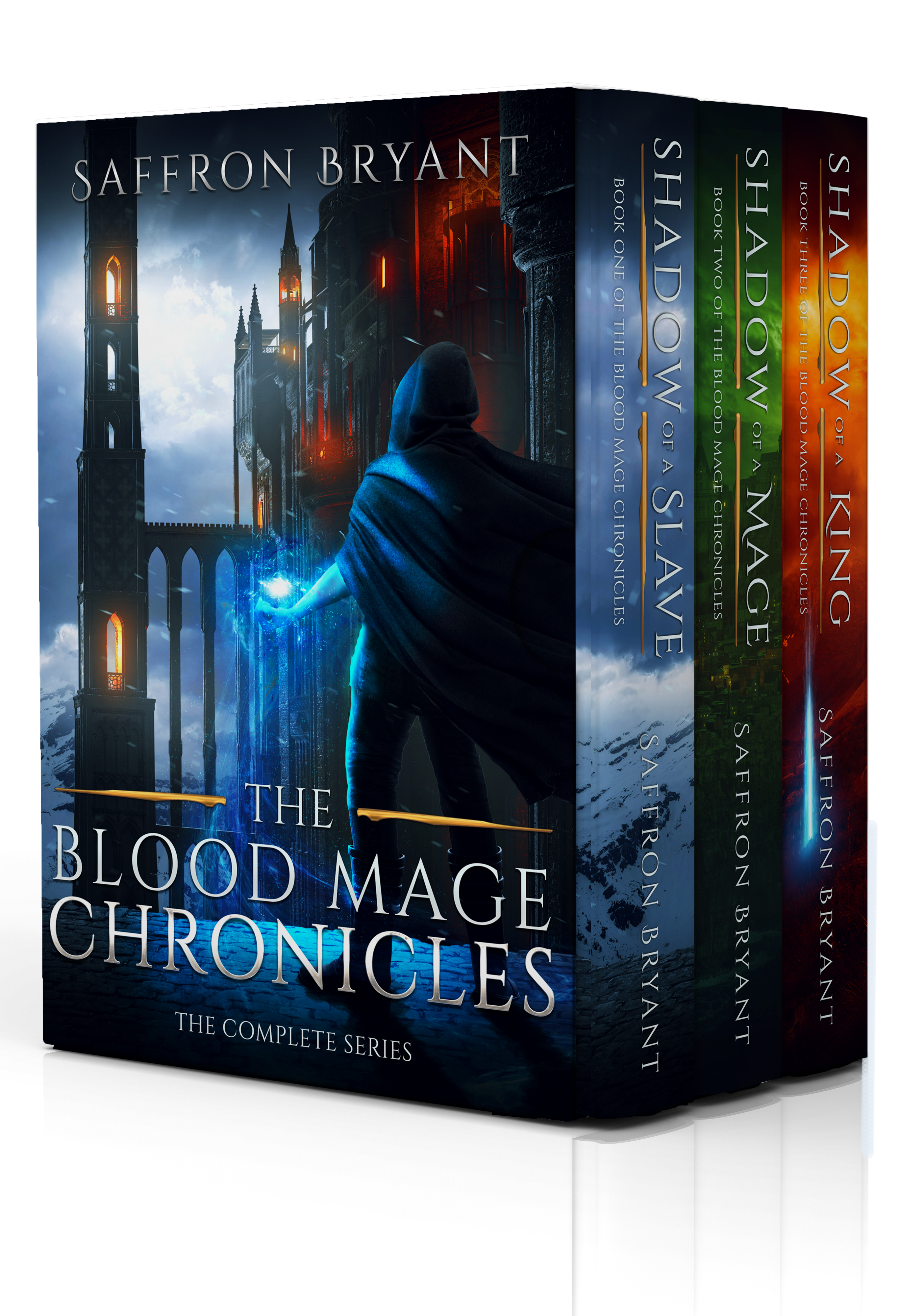 Blood Mage Chronicles